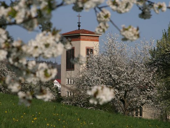 Katholische Kirche